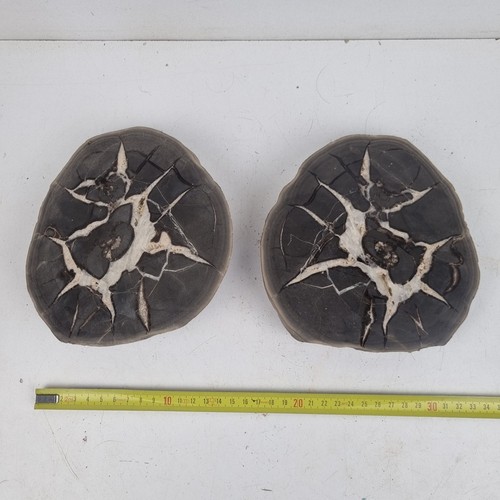 Paire nodule septaria - de,
