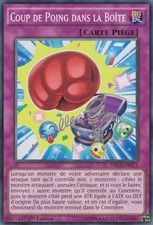 Yu-Gi-Oh : Coup de Poing dans