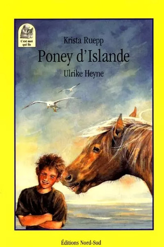 Poney islande krista - poney, ruepp