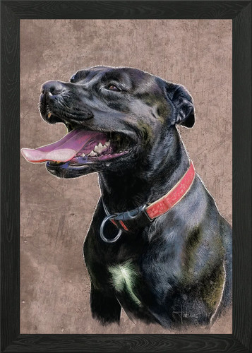 Old english bulldog framed - old,