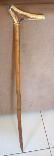Canne pommeau bois - canne,