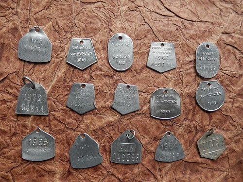 Lot taxes plaque chien - 15,