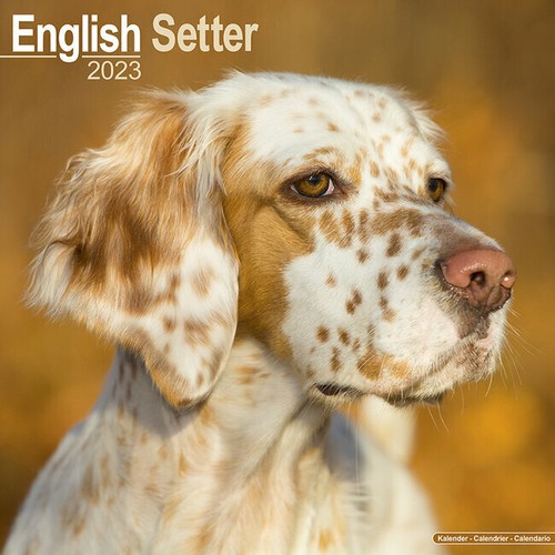Calendrier 2023 setter - 2023,