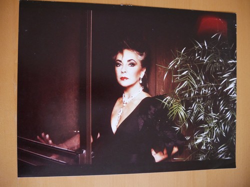 Elizabeth taylor 1985 photo - 1985,