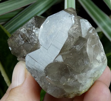 Quartz fumé