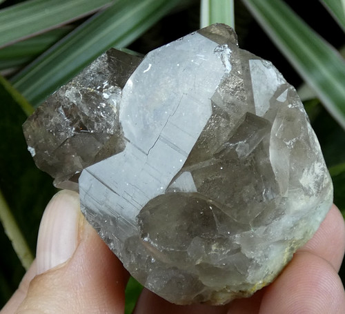 Quartz fumé