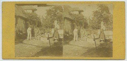 Stéréo 1860 ferme - stéréo, 1860-70.