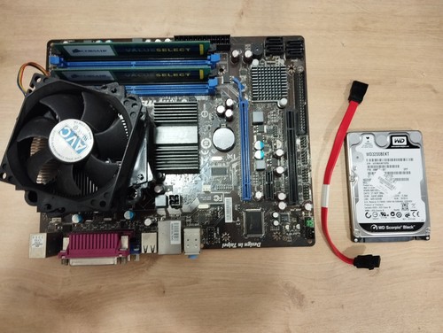 Carte mère msi g41m - msi, combo