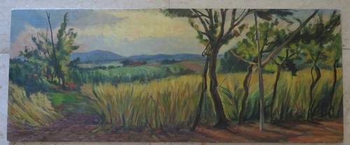 Paysage campagne été - de,