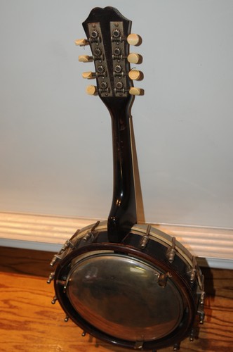 The bacon orchestra banjo - the,