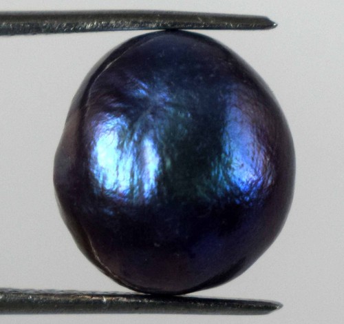 Perle mer sud - mer, noire