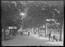 Plaque verre photo ancienne négatif noir et blanc 13x18 cm Vichy parc public