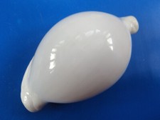 Ovula ovum  Philippines XL 82mm GEM n1