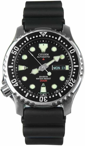 New citizen promaster - new,