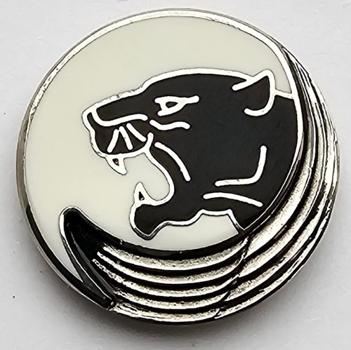 Cpis bagherra pin sans - cpis,