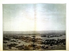 Gravure de presse - Bataillon