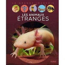 Livre LA GRANDE IMAGERIE - LES ANIMAUX ETRANGES