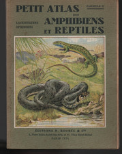 Atlas Boubée Amphibiens et reptiles Lacertiliens Ophibiens