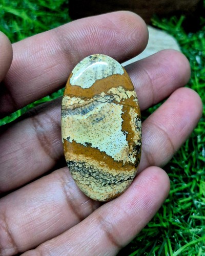 Cabochon jaspe photo - cabochon, de
