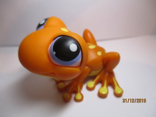 Petshop grenouille 362 - grenouille, n°362