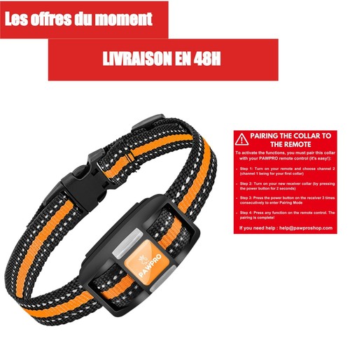 Collier dressage pawpro - collier,