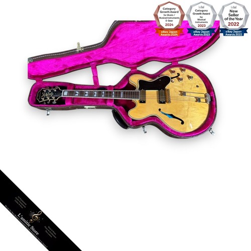 Guitare électrique epiphone - guitare,