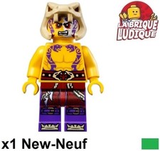 Lego Figurine Minifig Ninjago
