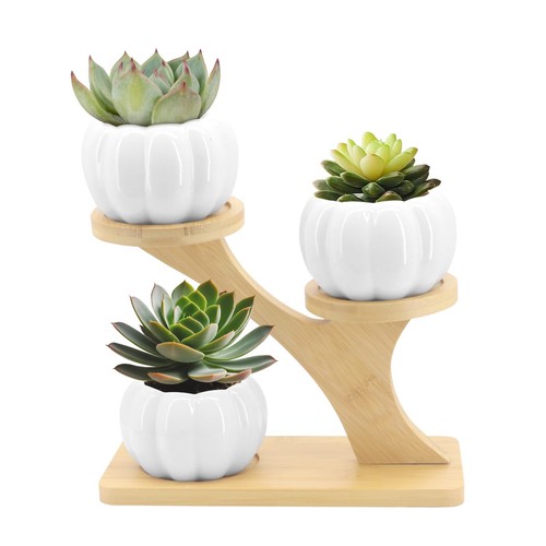 Pots pour succulentes pot de - succulentes,,