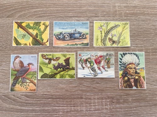 Lot images pour - lot, album
