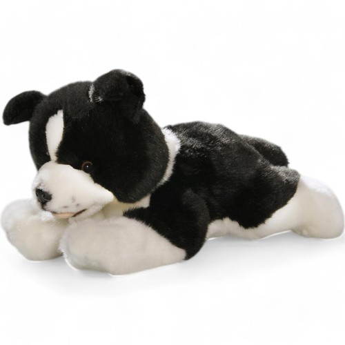 Carl dick border collie - border, chien