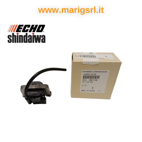 Module allumage bobine - module, echo