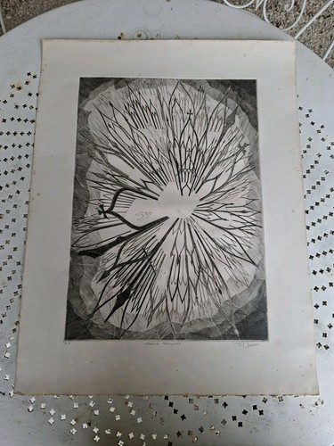 Affiche originale lithographie - originale,