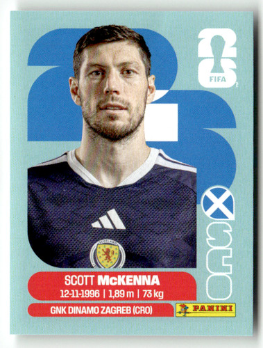 Panini 2026 coupe monde - coupe, du