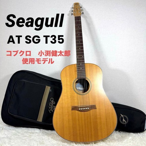 Model guitar used seagull - used,