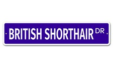 5366 SS British Shorthair 4" x