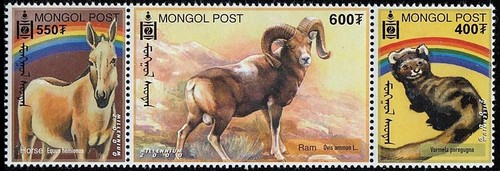 Mongolie 2000 ch - 👉,