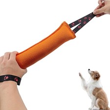 Jouet à Mâcher Chien