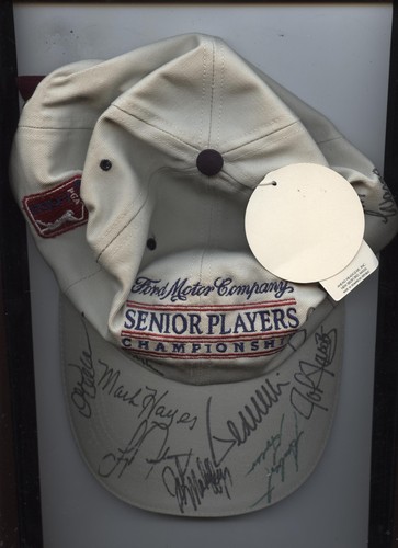 Senior players championship - players,