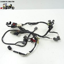 Faisceau électrique (petit)