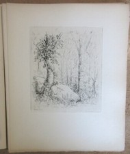 4 EAUX-FORTES DE JEAN FRELAUT FLAMMES & FLEURS EO LIMITEE A 150 EX. POESIE ART