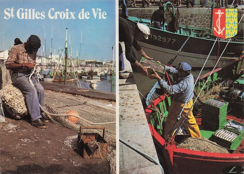 Gilles croix vie - 85,