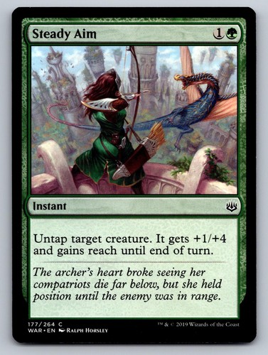 Steady aim 177 common - aim,