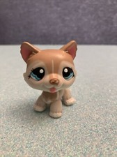 Petshop Chien Bébé Husky