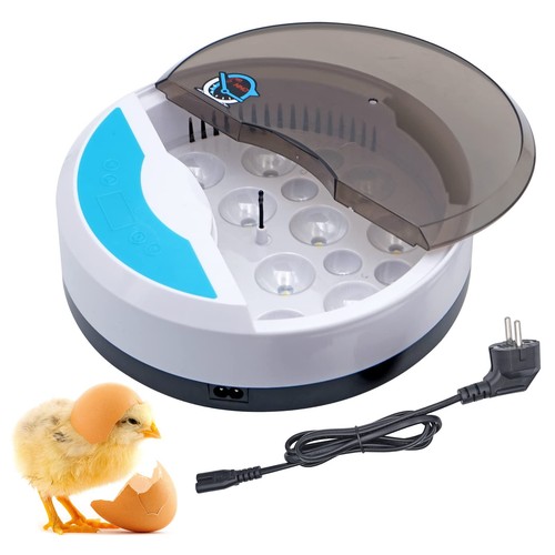 Mini oeufs incubateur - mini,