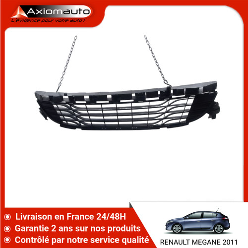 Grille pare choc - 🇫🇷,