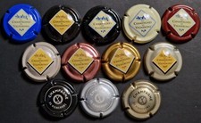 Lot 12 CAPSULES générique