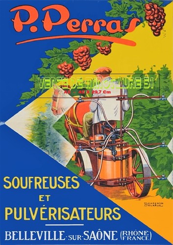 Perras soufreuses et - p.,