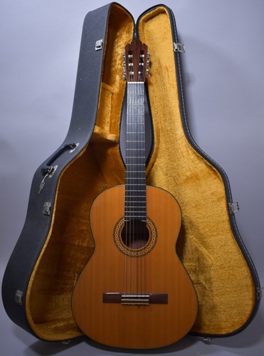 1980s daion natural - daion,