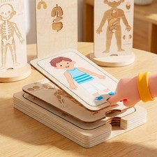 Jeu d'anatomie du corps