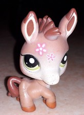 Petshop ane edition speciale